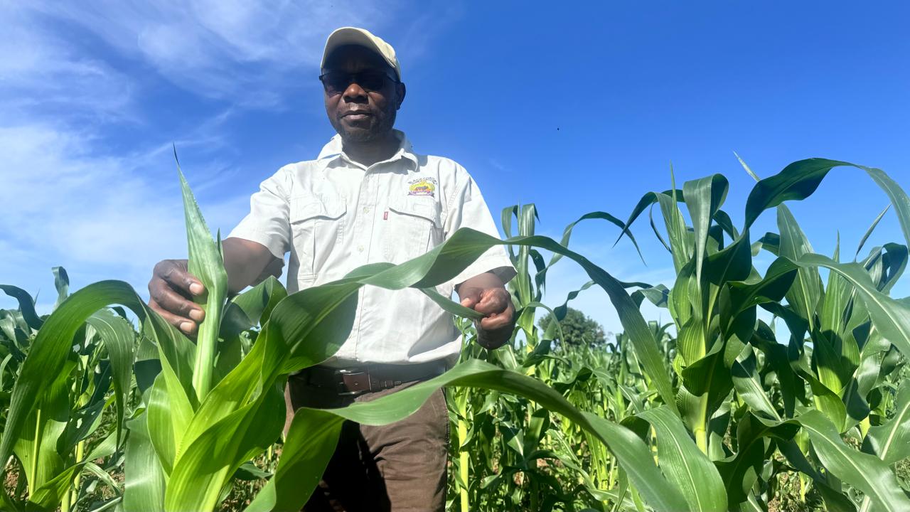 WhatsApp Image 2025 04 21 at 12.56.46